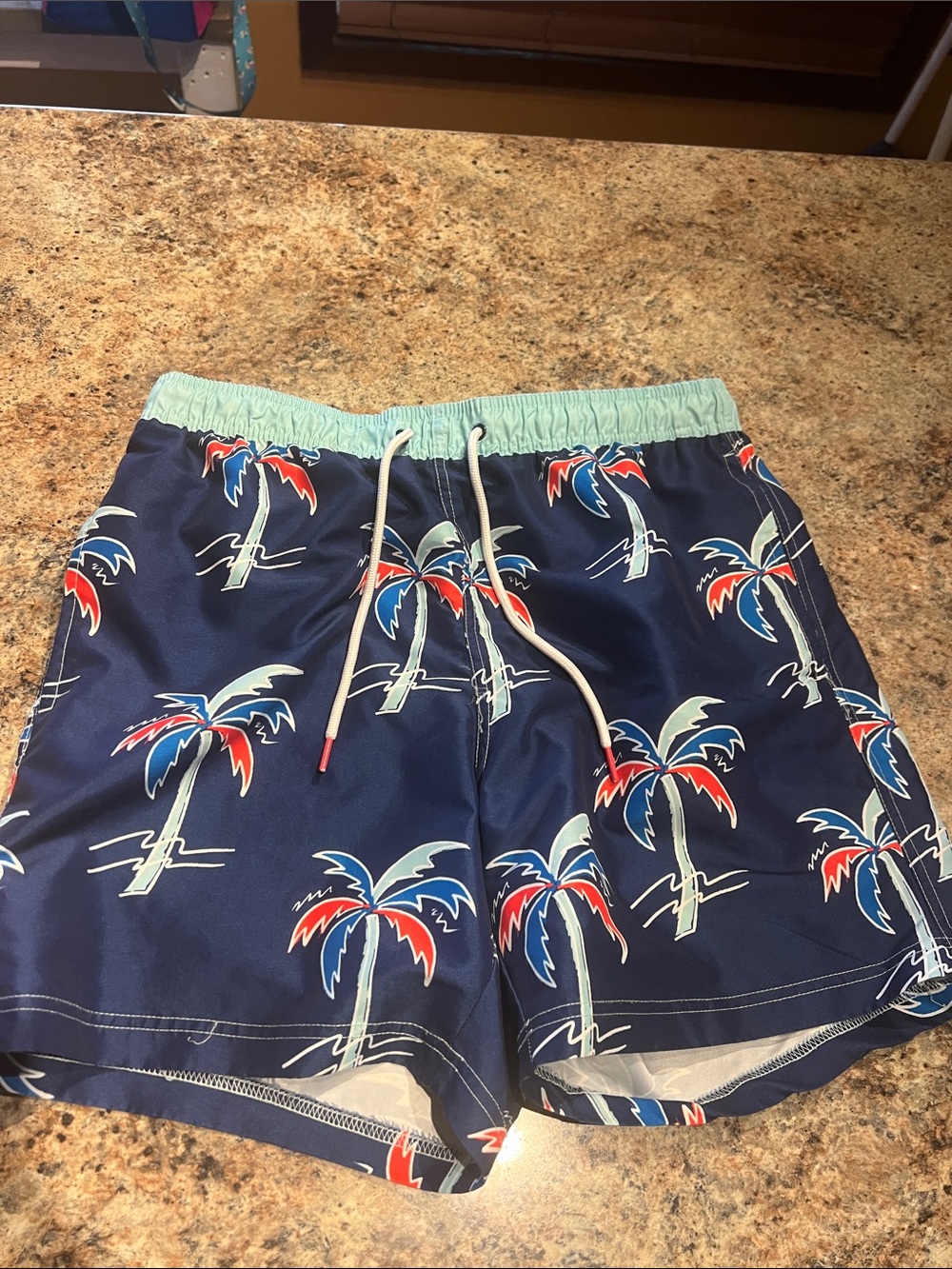 Way to Celebrate Men's Medium Navy Palm Print Swim Shorts with Mint Waistband
